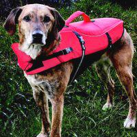 dog_water_safety_harness dog_water_safety_harness